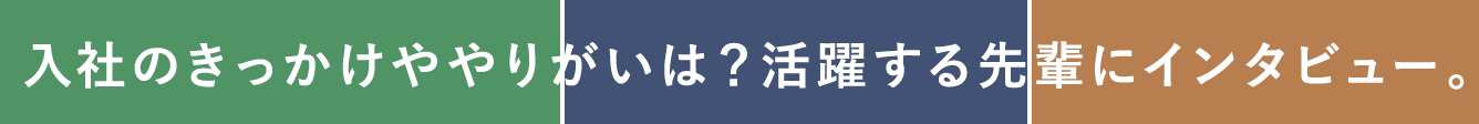 入社のきっかけややりがいは？活躍する先輩にインタビュー。